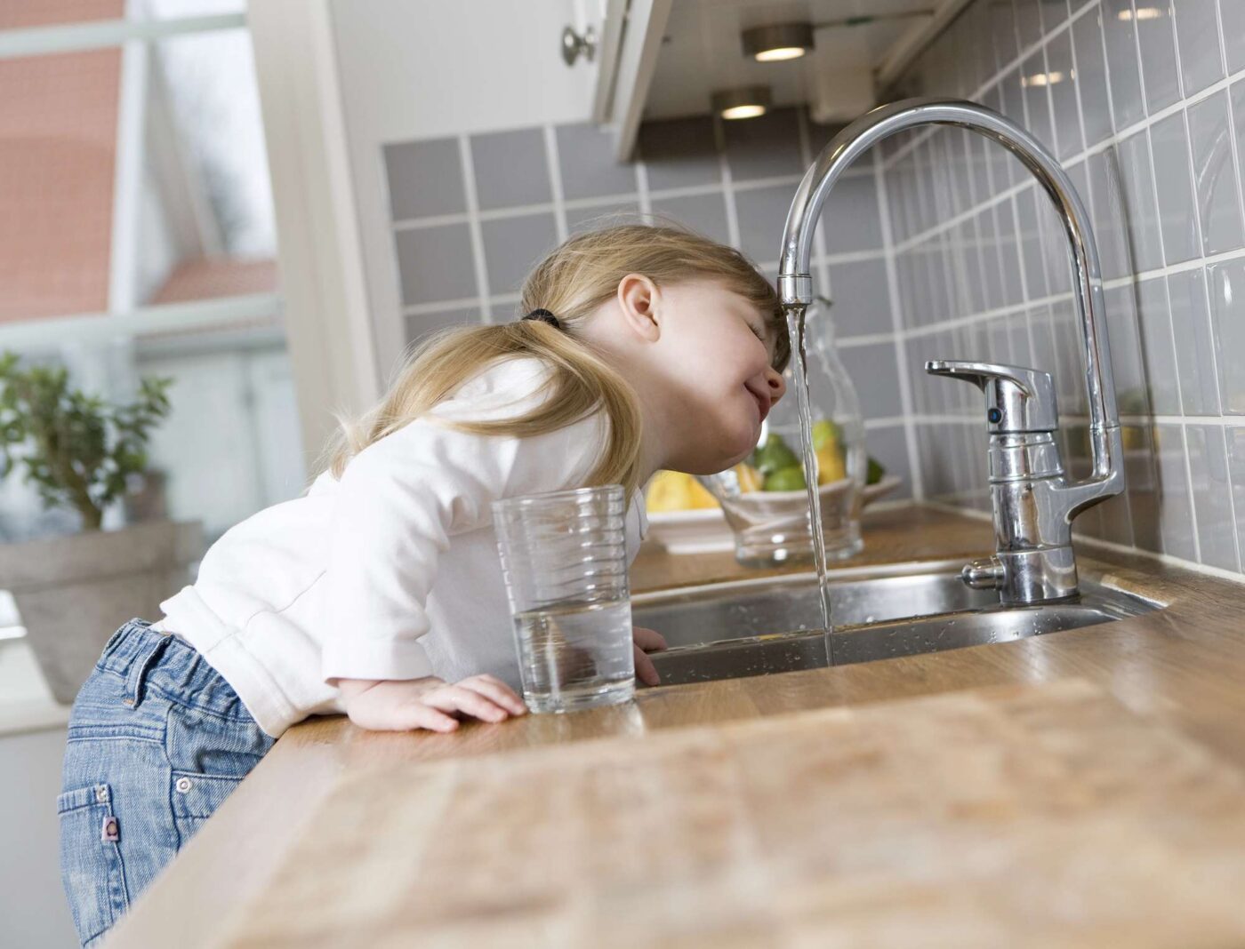 comparative analysis of Aerus and Ecowater systems