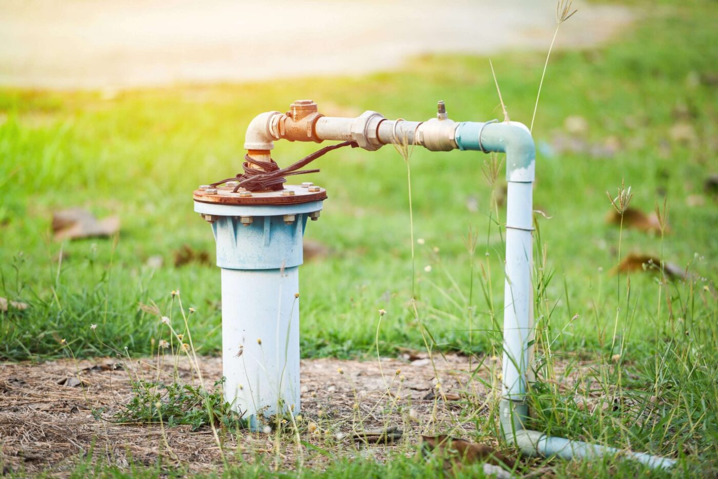 A private residential well water pipe and cap protruding from a grassy yard.