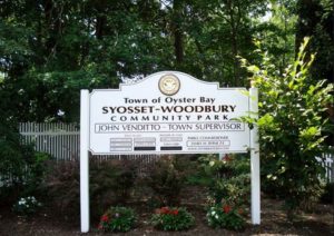 Syosset New York water quality